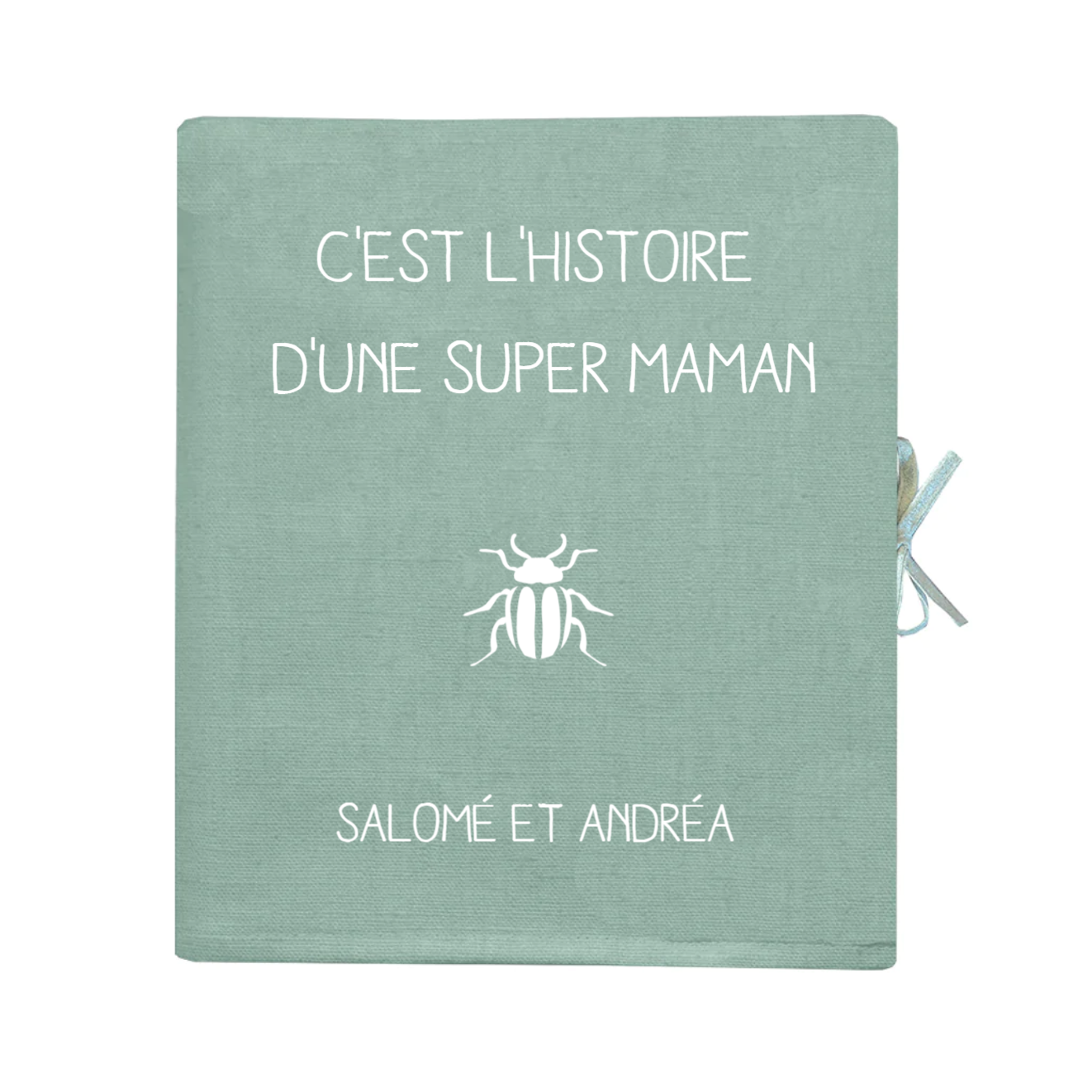 Album photo Cadeau Fête des Mères / Grand-mères personnalisé Vert amande Lin