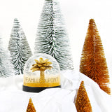 Boule à neige Cadeau adulte personnalisé Palmier