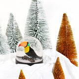 Boule à neige Cadeau enfant personnalisé Toucan